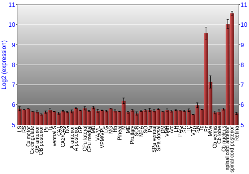 Expression graph