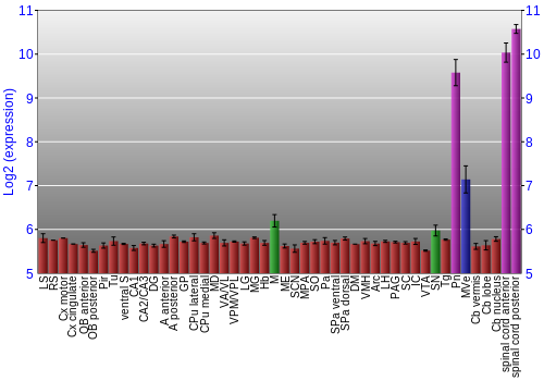 Multi-state expression graph