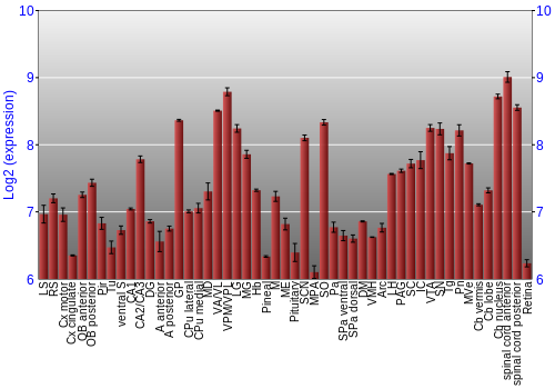 Expression graph