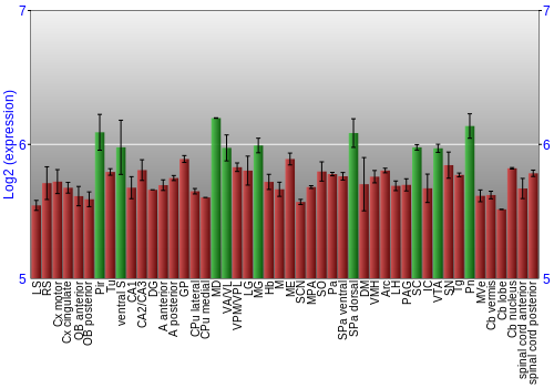 Multi-state expression graph