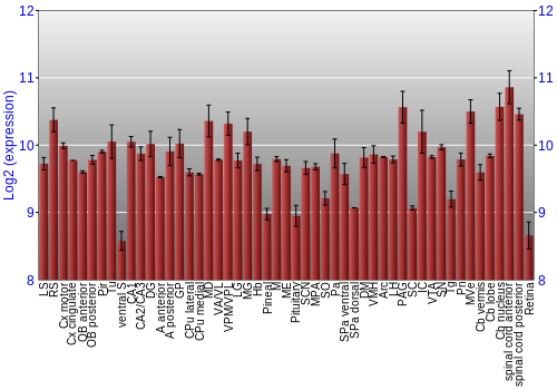 Expression graph