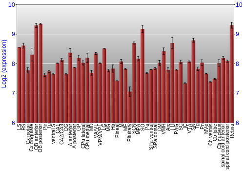 Expression graph