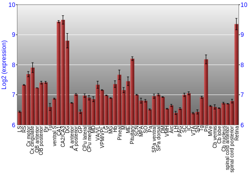 Expression graph