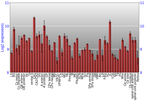 Expression graph