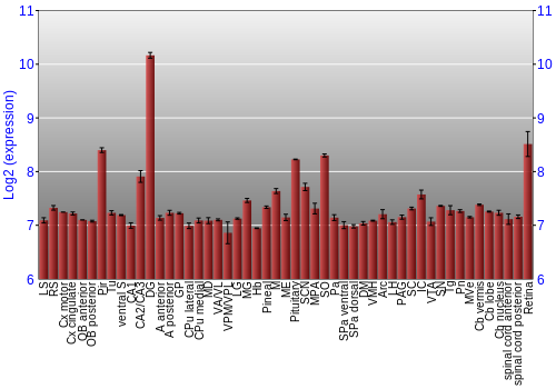 Expression graph