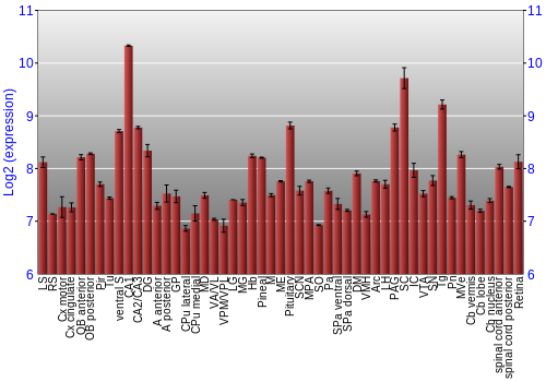 Expression graph