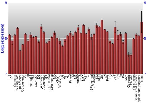 Expression graph