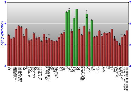 Multi-state expression graph