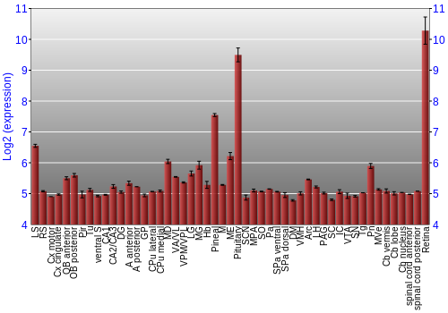 Expression graph