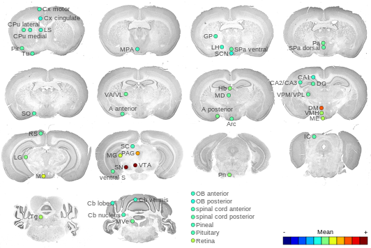 Expression map