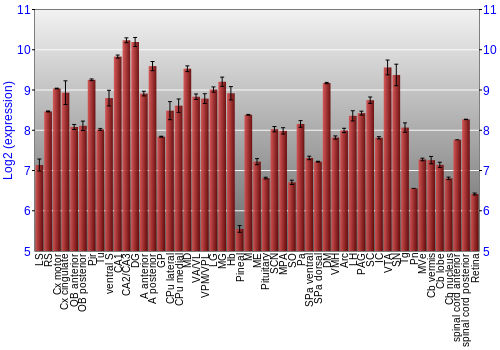 Expression graph