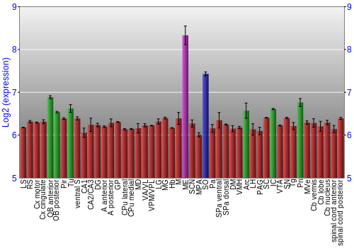 Multi-state expression graph