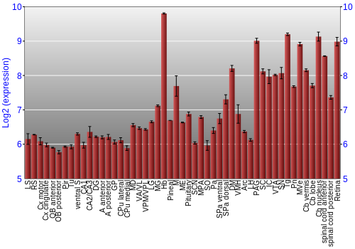 Expression graph