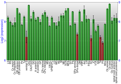 Multi-state expression graph