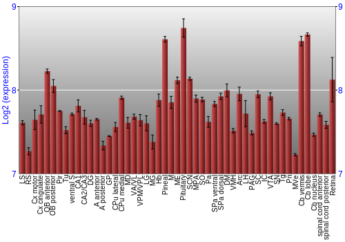 Expression graph