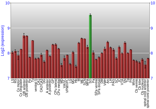 Multi-state expression graph