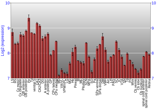 Expression graph