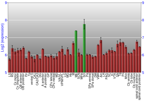 Multi-state expression graph