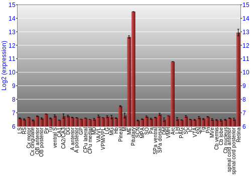 Expression graph