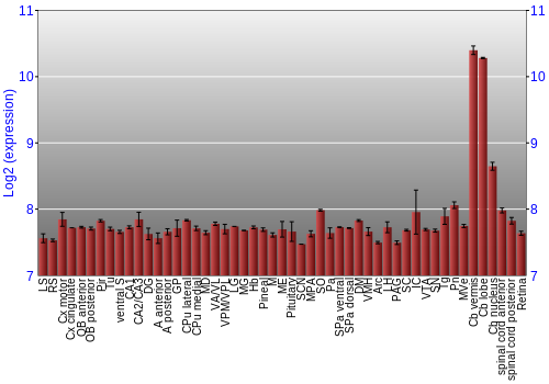 Expression graph