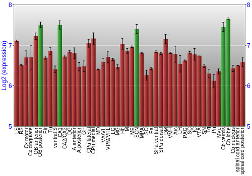 Multi-state expression graph