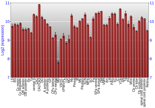 Expression graph