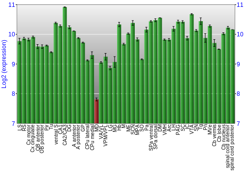 Multi-state expression graph