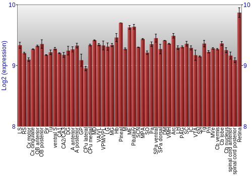 Expression graph