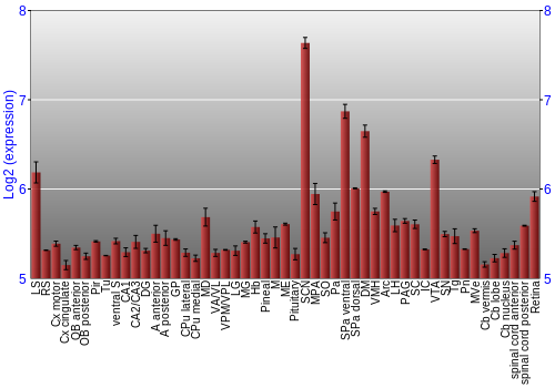 Expression graph