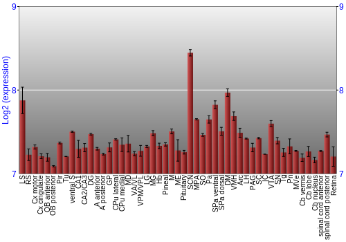 Expression graph