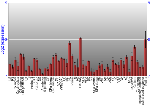 Expression graph