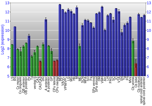 Multi-state expression graph