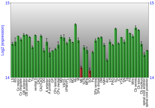 Multi-state expression graph