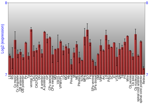 Expression graph