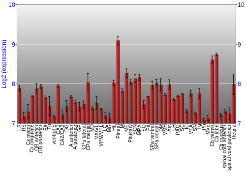 Expression graph