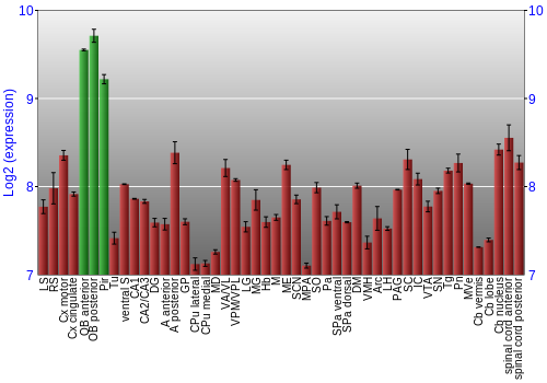 Multi-state expression graph