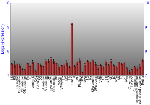 Expression graph