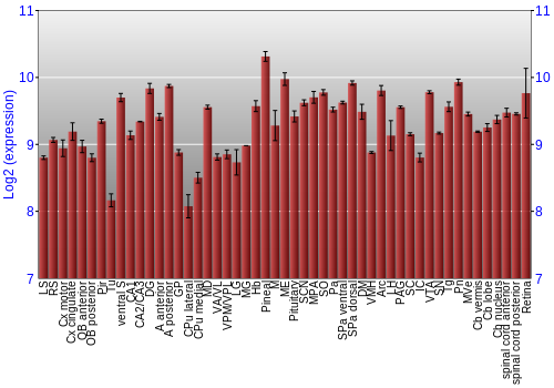 Expression graph