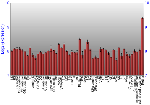 Expression graph