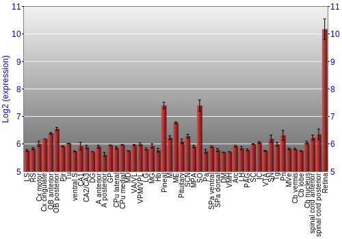 Expression graph