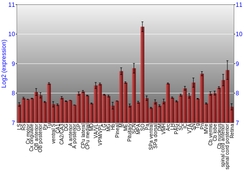 Expression graph