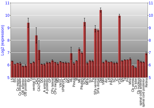Expression graph