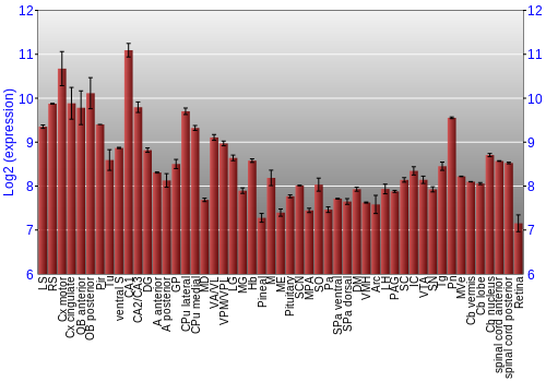 Expression graph