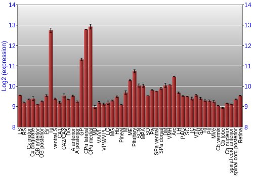 Expression graph