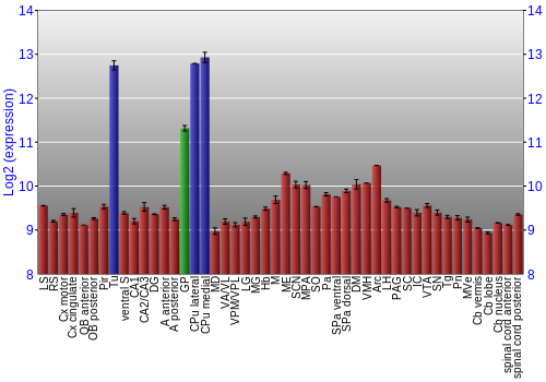 Multi-state expression graph