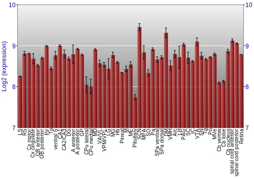 Expression graph