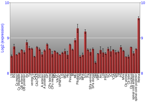 Expression graph