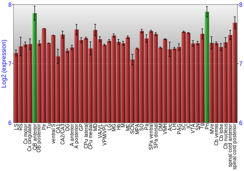 Multi-state expression graph