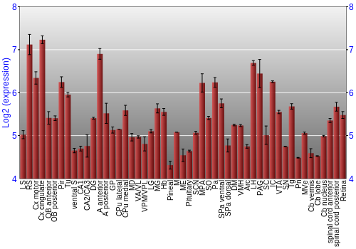 Expression graph