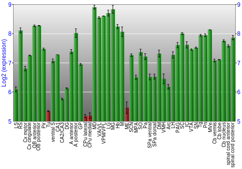Multi-state expression graph